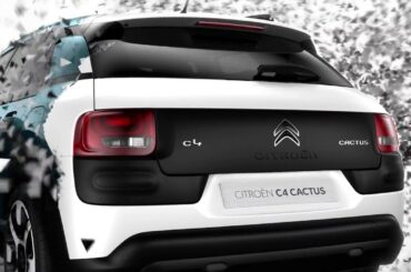 C4 Cactus Hatch - Design Legacy