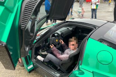 [Ferrari Enzo] only 1 in this colour (emerald green) and only 1 registered in the UK according to google