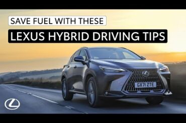 Save fuel with these hybrid driving tips from Lexus