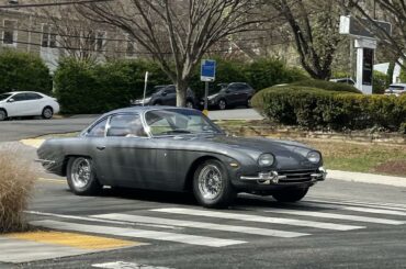 [Lamborghini 350GT] that I saw this afternoon. What a beautiful car.