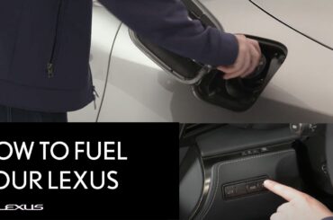 Lexus How-To: Fueling Your Lexus LC, RX and More | Lexus