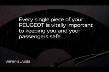 Know Your Car: Wiper Blades | Peugeot UK