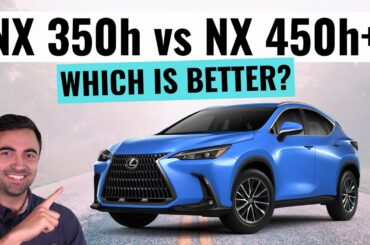 2022 Lexus NX 350h VS NX 450h+ Review | Hybrid or Plug In Hybrid?