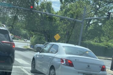 Who drives a Peugeot 301 in Maryland?