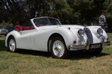 Beautiful white curves on this Jag