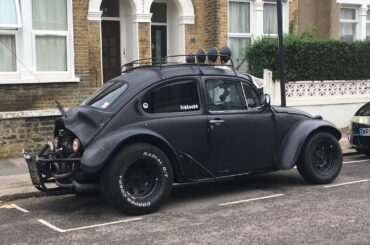 [Volkswagen Beetle] wild example