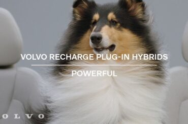 Volvo Recharge Plug-in Hybrids | Electrifying