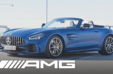 Mercedes-AMG GT R Roadster (2019): Walkaround