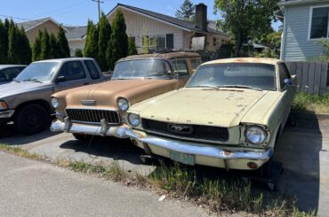 My neighbors old schools chillin outside