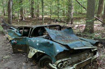 The abandoned 1958 Bel Air I came across in the woods