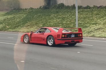 [Ferrari F40] on the highway