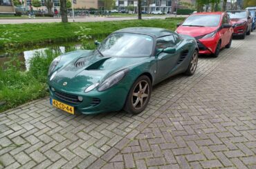 Spotted this cool [lotus] on the way home from school