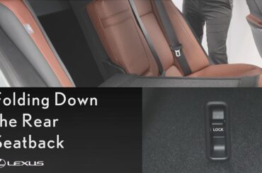 Lexus How-To: Fold Down the Rear Seats in the IS | Lexus