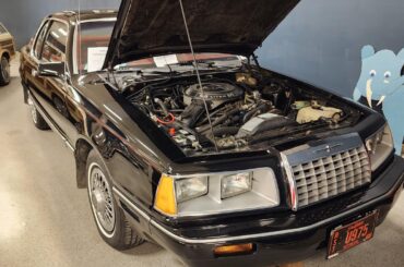 1983 Ford Thunderbird - 118,000 Miles on it, thoughts on it guys?