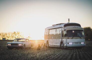 '69 Lincoln continental and '67 GM "Buffalo" bus .. and some doggos