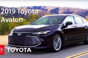 2019 Toyota Avalon | Toyota