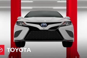 Toyota Hybrid Maintenance and Longevity