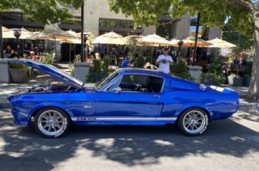 Assorted Mustang Pack