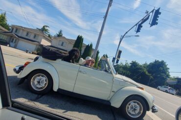 my mom's 1978 superbeetle me and my dad just got back on the road for the summer after 10 years in the garage