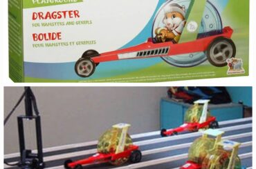 Hamster dragster, the official car of?