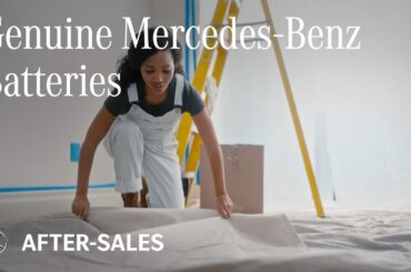Genuine Mercedes-Benz Batteries | Painter