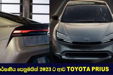 Latest Toyota Prius 2023 | Plug in Hybrid