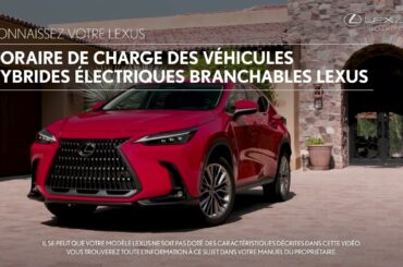Connaissez votre Lexus | Horaire de charge des véhicules hybrides électriques branchables