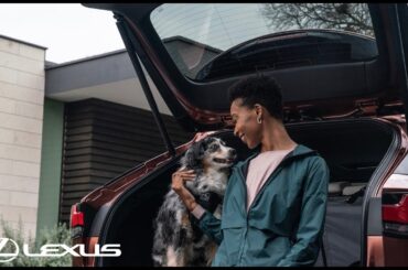 Kurgo Accessories | Lexus