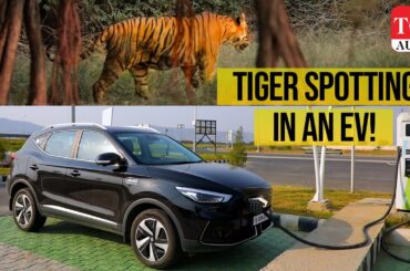 MG ZS EV: 1000 km road trip from Delhi to Ranthambore | How difficult is it? | TOI Auto