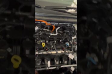 2023 Ford Escape Plug-In Hybrid Engine