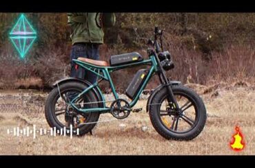 ENGWE M20 Electric Bike 750W Brushless Motor 48V 13Ah Battery 20*4.0'' Fat Tires Electric Bike