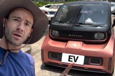 How Many EVs Can I Find on a Walk in China?  The Ever-Changing Chinese EV Market