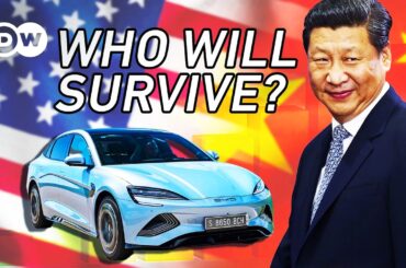 Winners & Losers of China’s Brutal EV Market #nio #byd #electriccar