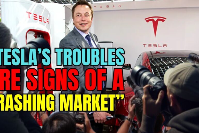 Is the EV Market Crashing? Tesla's Troubles Exposed! Electric Vehicles & Its Market Behavior