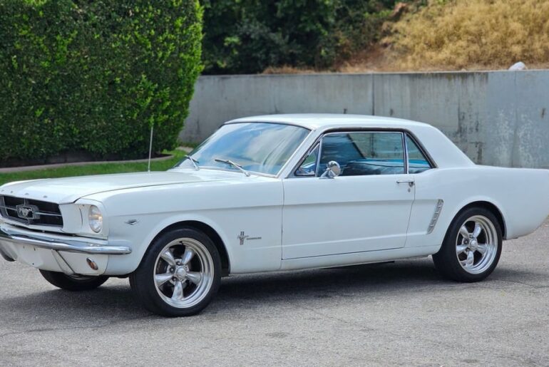 Mustang or Corvair? I'm pretty big on Corvairs, so that's what I'd go with personally, but I'm curious how many people agree. For comparisons sake, we'll assume the mustang is an inline-six.