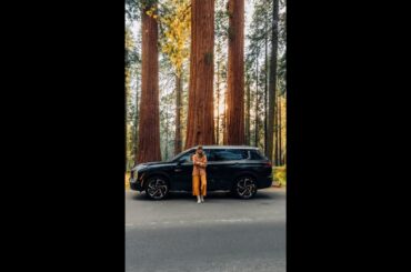 Exploring Sequoia in the Outlander Plug-in Hybrid 🌲🐻