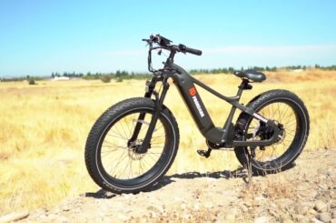 Freedare Saiga Review: The Ultimate All-Terrain Electric Bike?