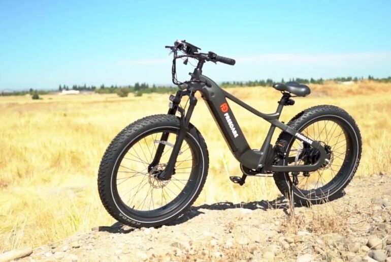 Freedare Saiga Review: The Ultimate All-Terrain Electric Bike?