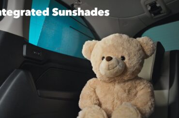 Honda Odyssey | Integrated Sunshades