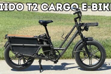 Fiido T2 Longtail Cargo E-bike