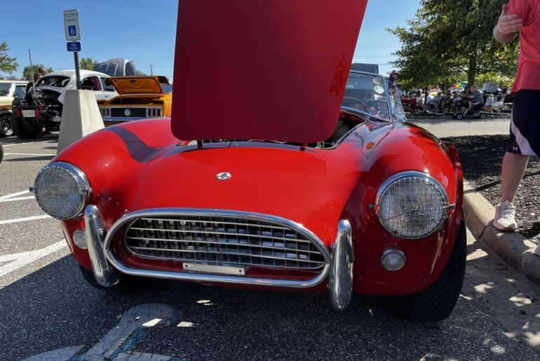 [Shelby Cobra] local car show