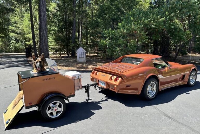 Who said dogs and sports cars don’t mix?