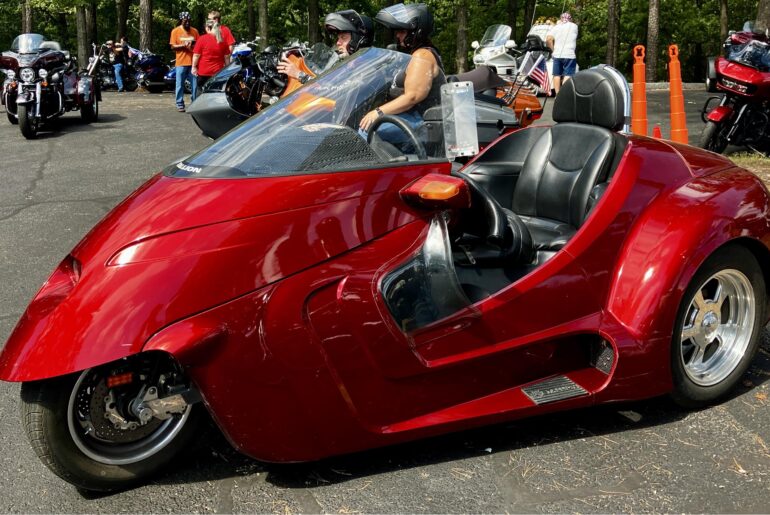 Thoroughbred Stallion spotted at a local bike rally