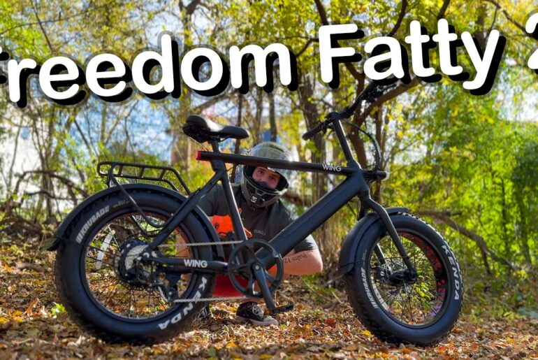 The WING FREEDOM FATTY 2 E Bike Review! (I Was Surprised!)