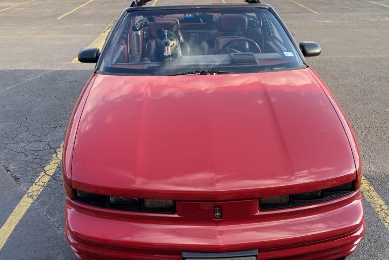 It’s 1994 and you want a domestic convertible,why is it the olds cutlass supreme (dog not included)